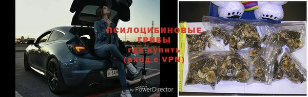 ПСИЛОЦИБИНОВЫЕ ГРИБЫ Алзамай