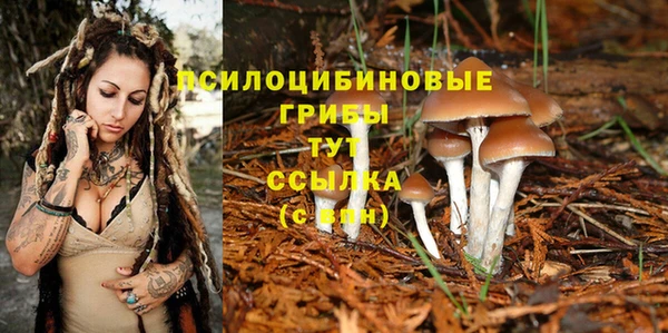 тгк Алексеевка