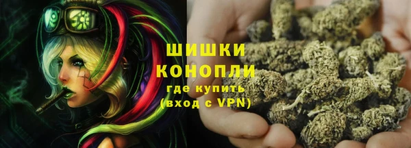 ПСИЛОЦИБИНОВЫЕ ГРИБЫ Алзамай