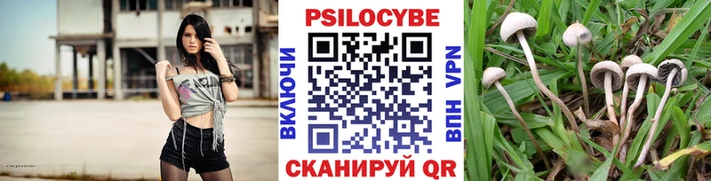 blacksprut онион  Артёмовск  Псилоцибиновые грибы Cubensis 